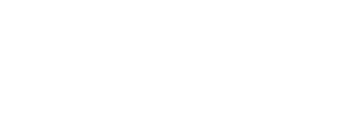 heavy pulse rifle