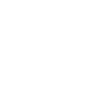 tactical visor